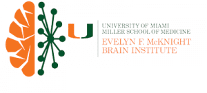 Research Areas - U Miami McKnight Brain Institute